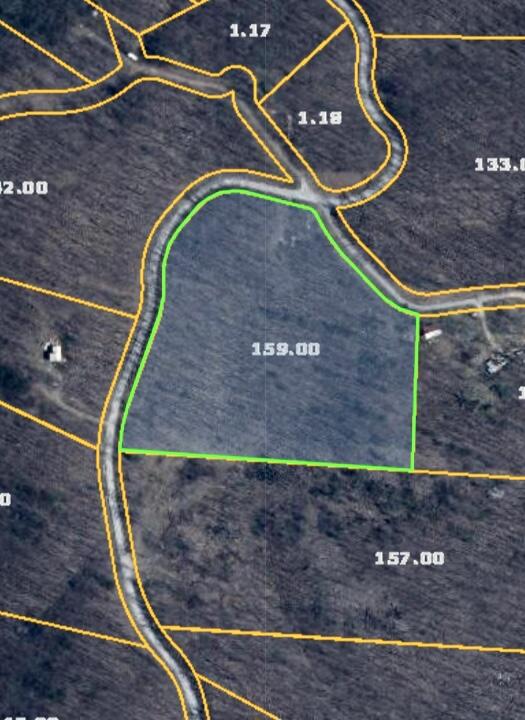 1670 Overlook Trail Spring City, TN 37381 - Photo 14 of 14 overlook14