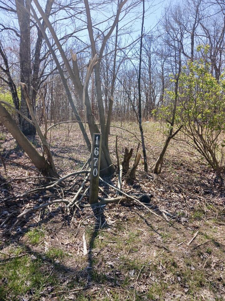 1670 Overlook Trail Spring City, TN 37381 - Photo 2 of 14 overlook2