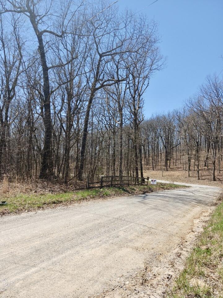 1670 Overlook Trail Spring City, TN 37381 - Photo 3 of 14 overlook1