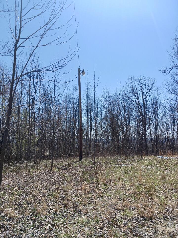 1670 Overlook Trail Spring City, TN 37381 - Photo 4 of 14 overlook3