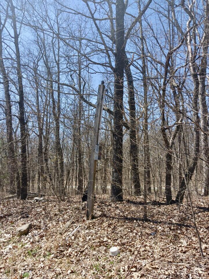 1670 Overlook Trail Spring City, TN 37381 - Photo 5 of 14 overlook4