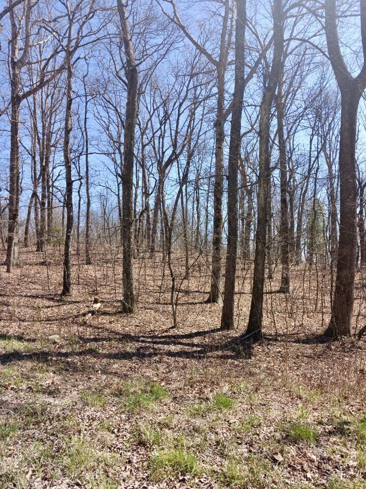 1670 Overlook Trail Spring City, TN 37381 - Photo 6 of 14 overlook6