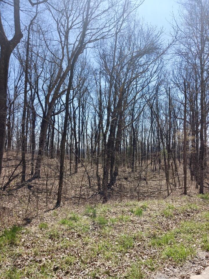 1670 Overlook Trail Spring City, TN 37381 - Photo 7 of 14 overlook7