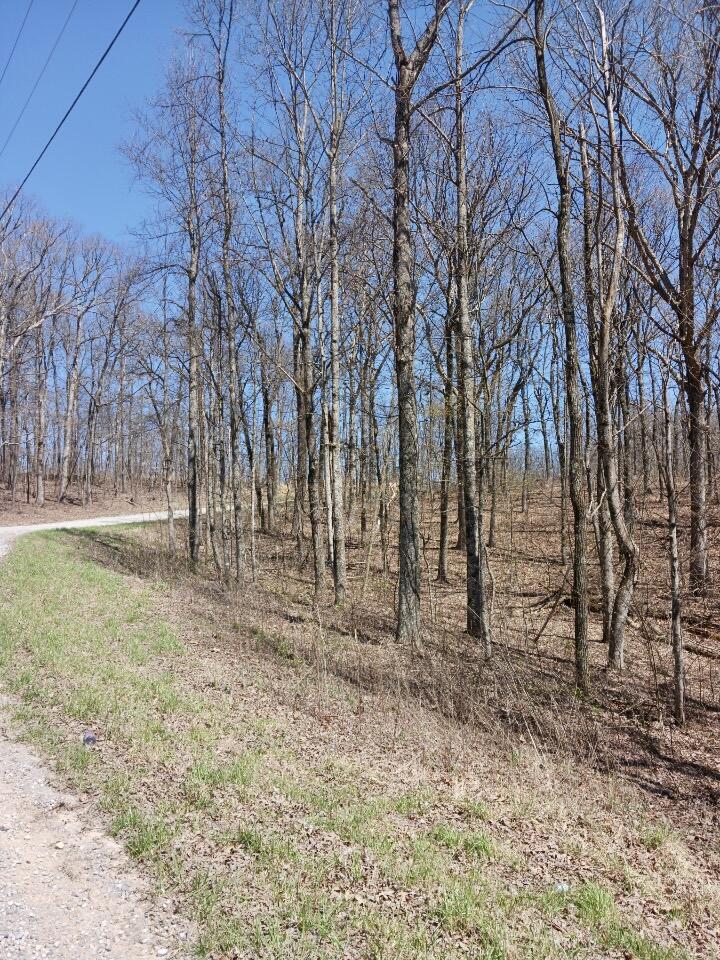 1670 Overlook Trail Spring City, TN 37381 - Photo 8 of 14 overlook8