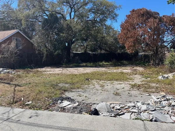 a view of a yard with a tree