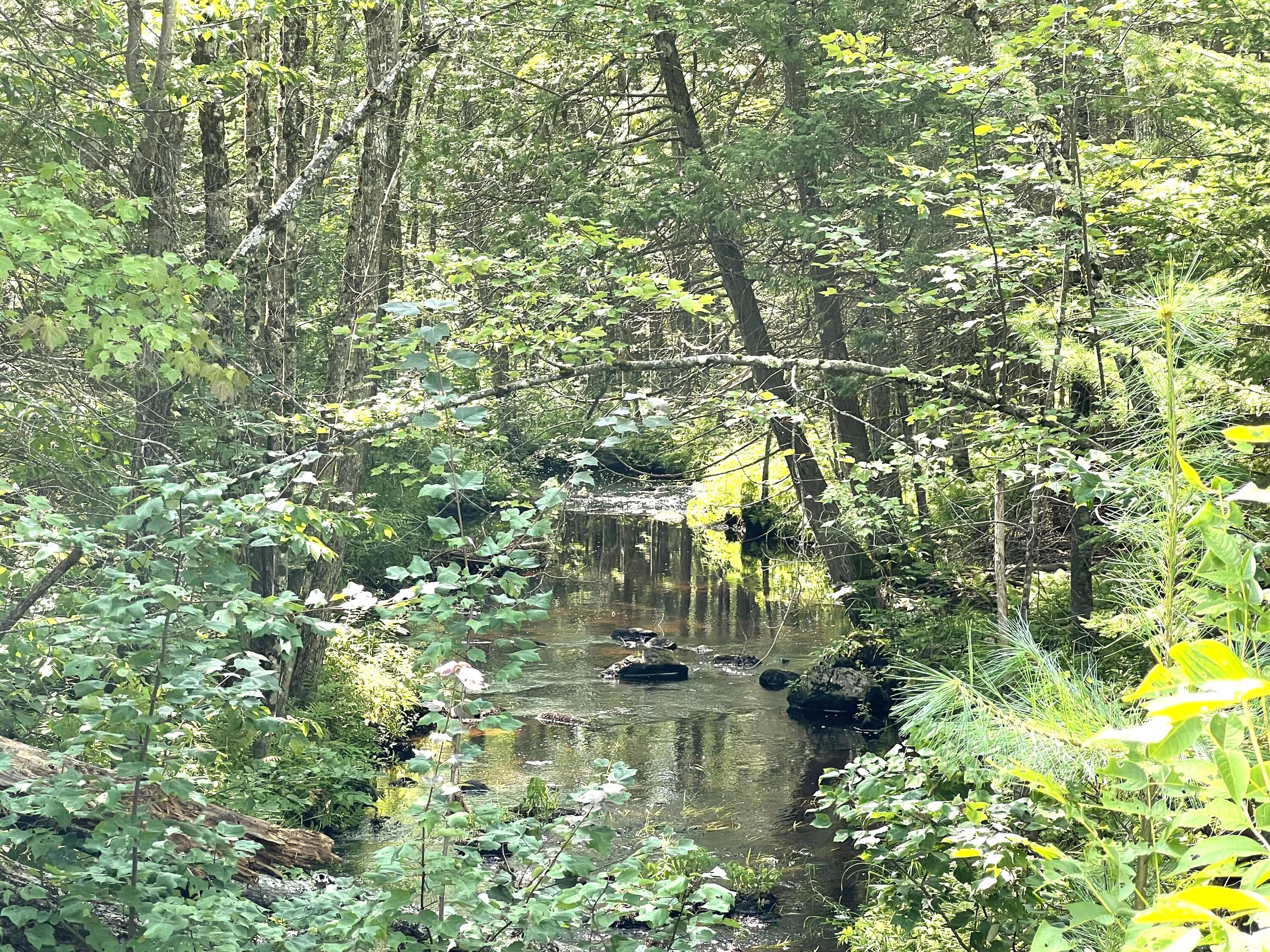134 Marcho Road Carmel, ME 04419 - Photo 8 of 30 8