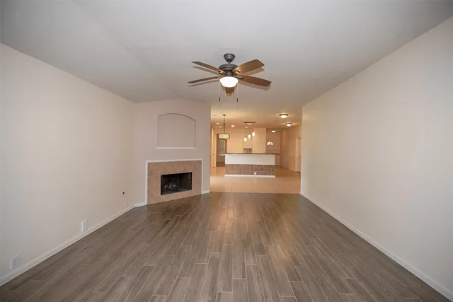 a garden with plants