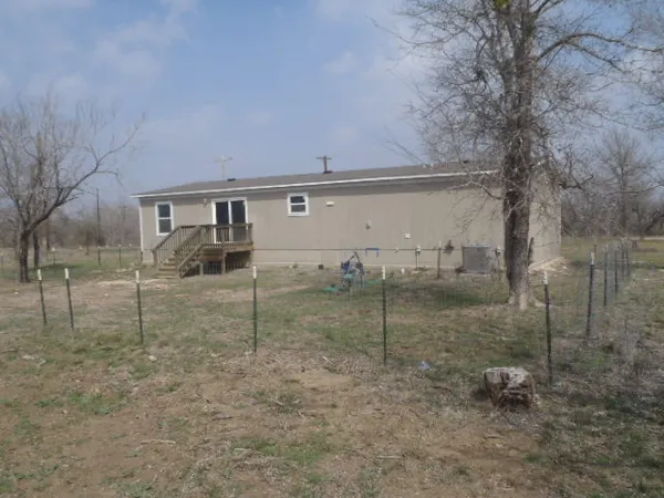 a view of a yard with a tree
