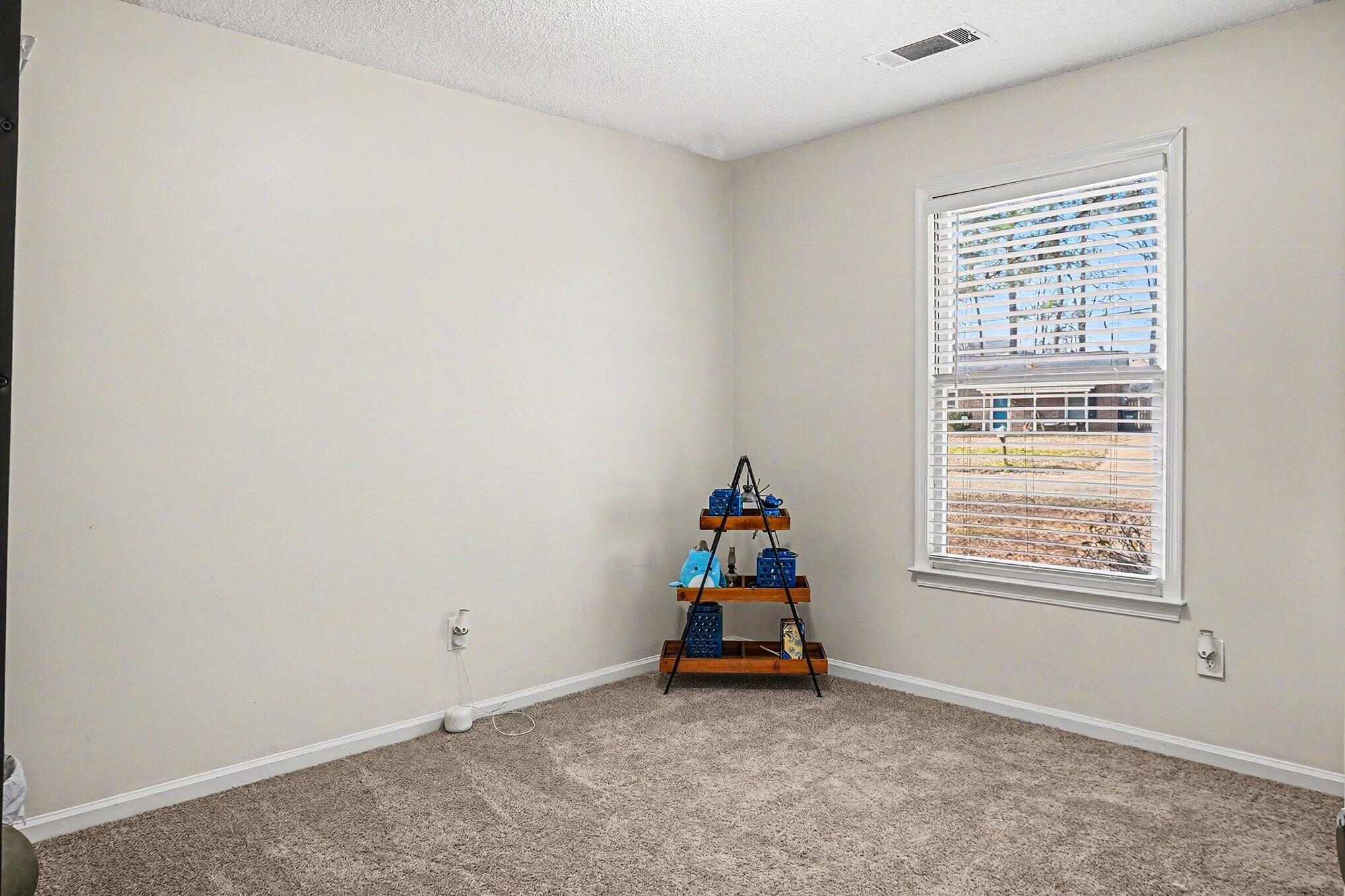 451 Longleaf Drive Summerville, SC 29483 - Photo 20 of 32 Third Bedroom