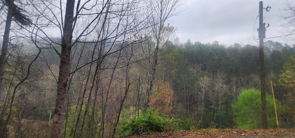 57 Rustys Ridge Bryson City, NC 28713 - Photo 50 of 74