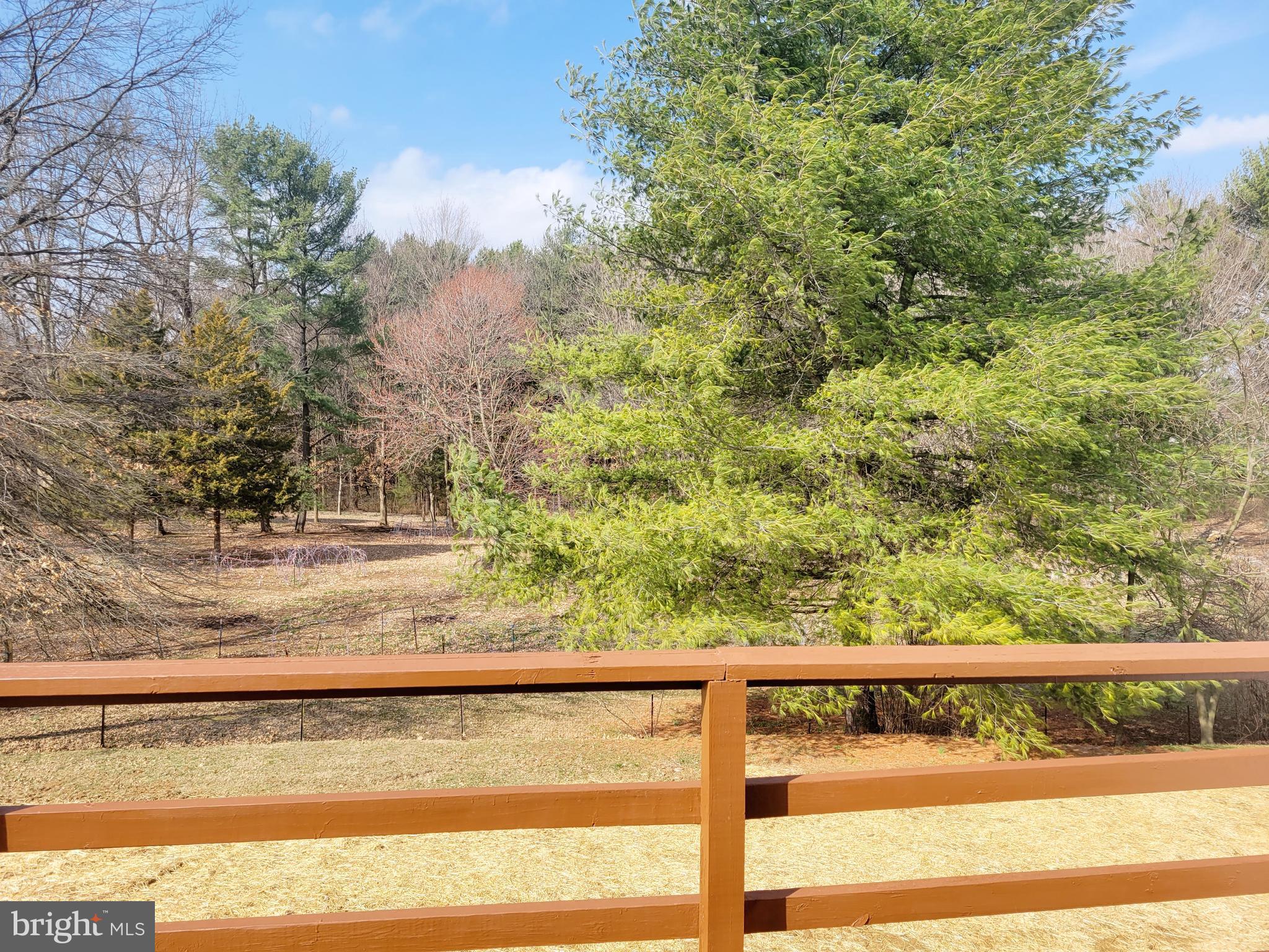 11838 Kieffer Funk Road Hagerstown, MD 21742 - Photo 33 of 34 View from Deck