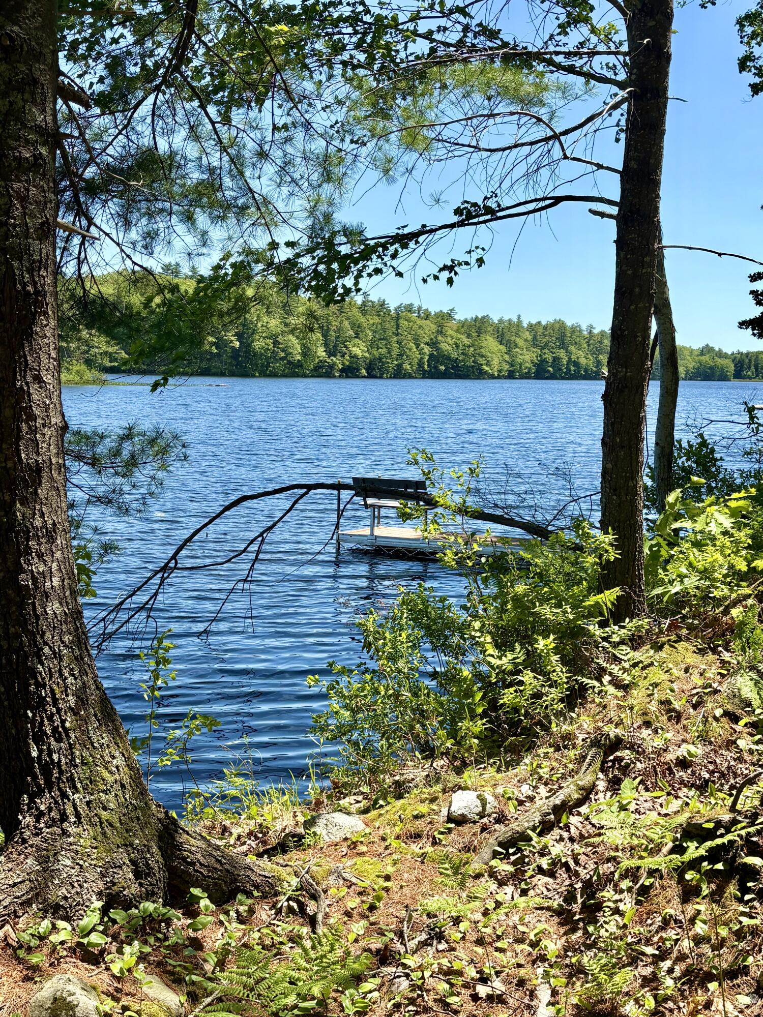 102 Trask Lane Jefferson, ME 04348 - Photo 61 of 63 IMG_5045
