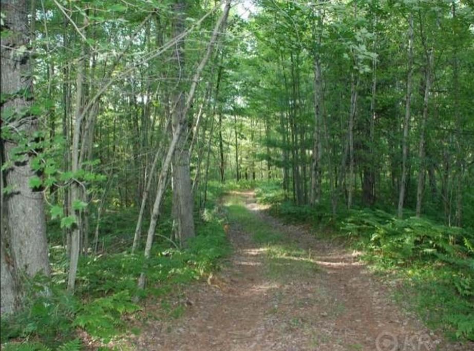 40-acres Sugar River Road Gladwin, MI 48624 - Photo 2 of 33
