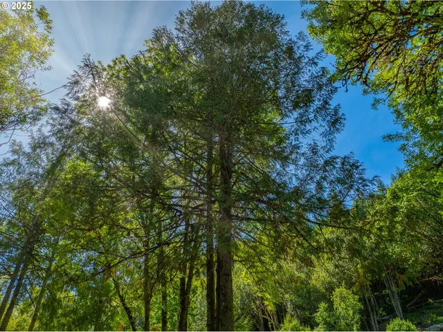 $499,000 | 55593 Glen Aiken Creek Road, Coquille, OR 97423