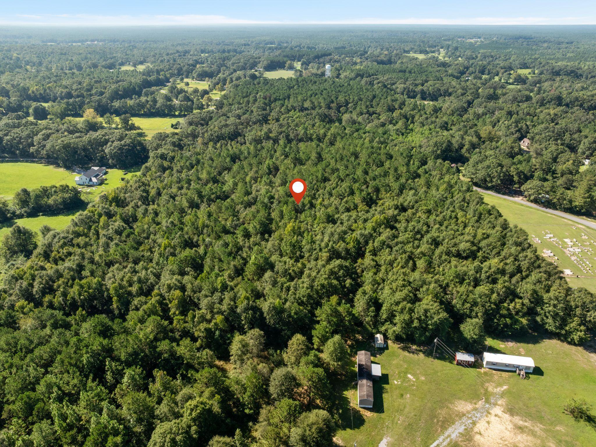 0 Gator Reid Road Wiggins, MS 39577 - Photo 6 of 17 Gallery Image 6
