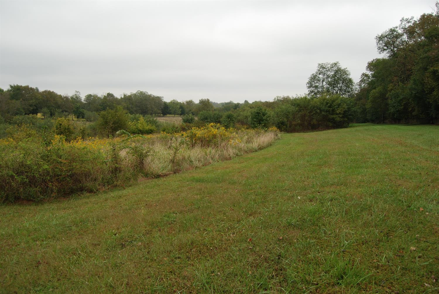 160 Soards Road Georgetown, KY 40324 - Photo 16 of 43 Photo 16