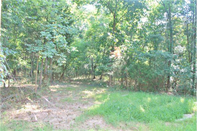 3148 Beech Log Road Watertown, TN 37184 - Photo 5 of 10