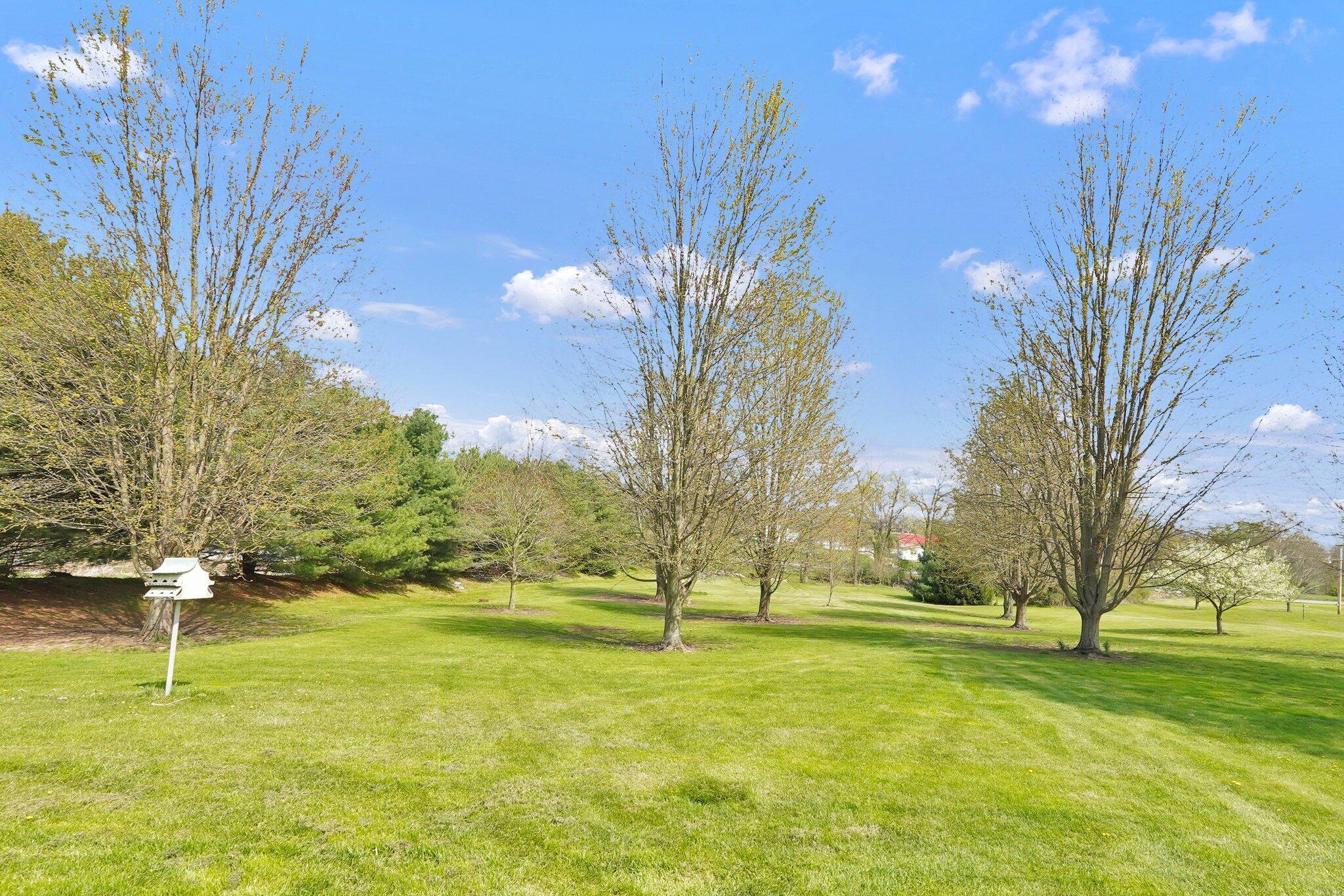 7020 York Road Southwest Pataskala, OH 43062 - Photo 26 of 27 Front yard