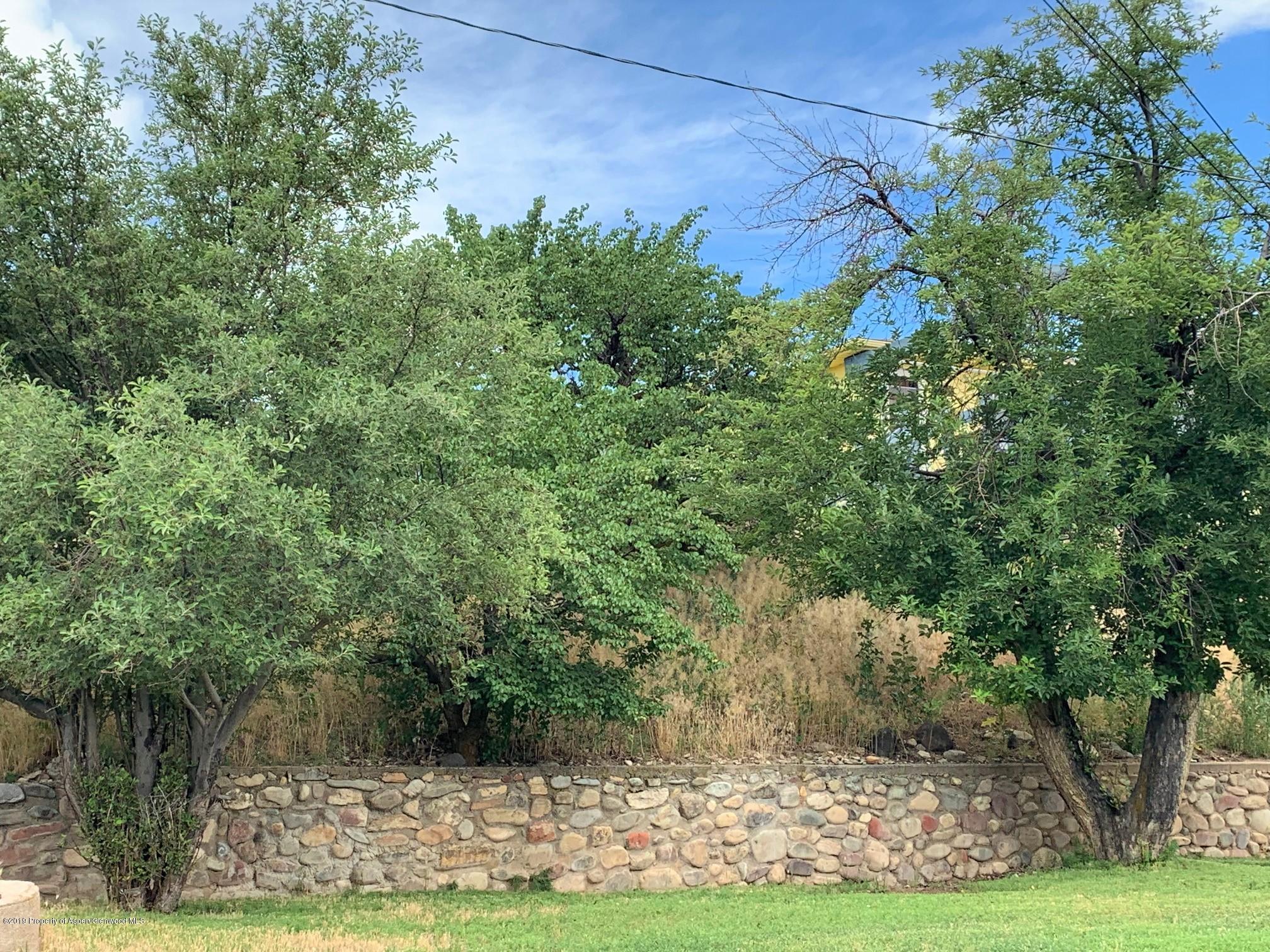422 East 10th Street Rifle, CO 81650 - Photo 18 of 19 backyard