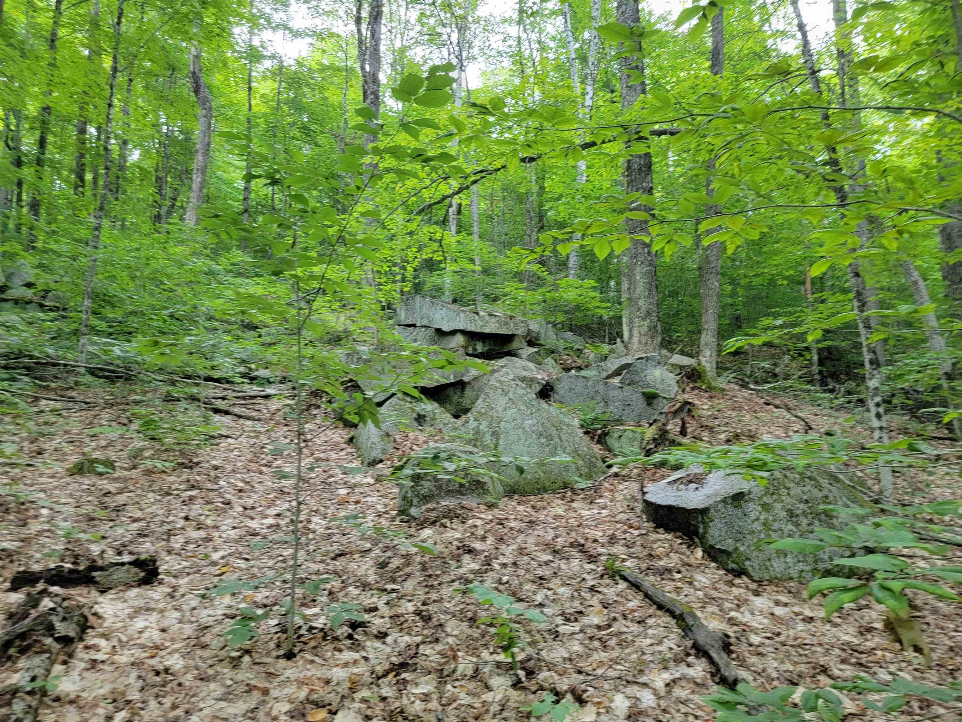 0 Galusha Hill Road Topsham, VT 05076 - Photo 1 of 8