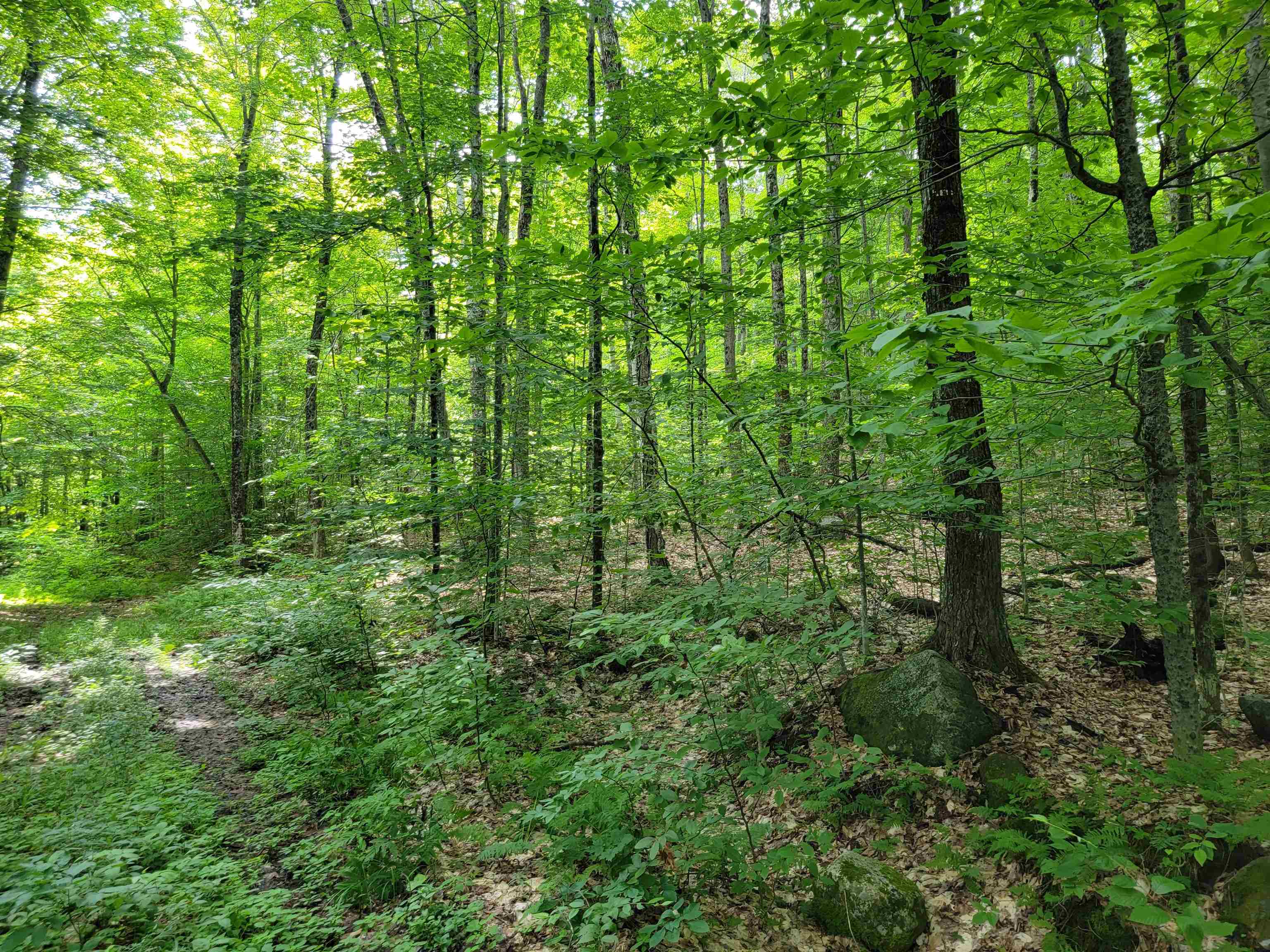 0 Galusha Hill Road Topsham, VT 05076 - Photo 4 of 8