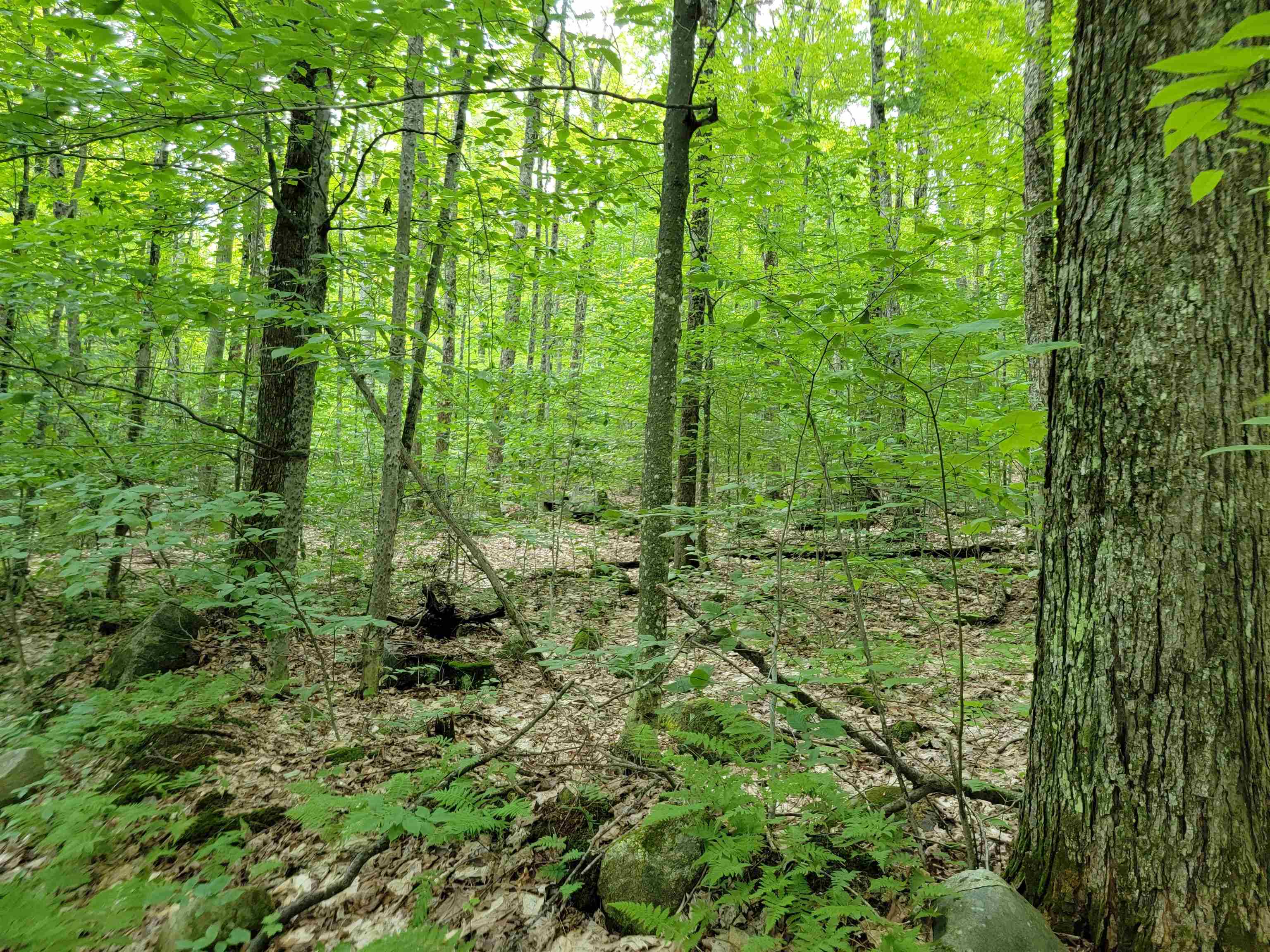 0 Galusha Hill Road Topsham, VT 05076 - Photo 5 of 8
