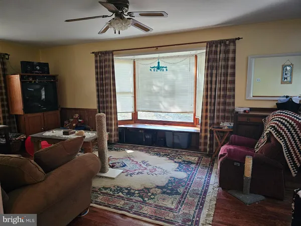 a living room with furniture or couch and a window