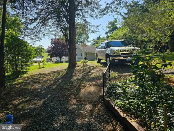 a view of a backyard with large trees