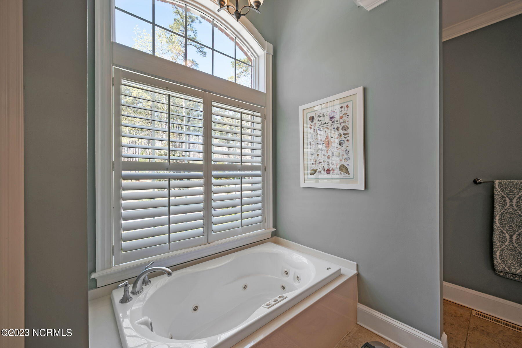 203 Rappahannock Drive Chocowinity, NC 27817 - Photo 24 of 51 024 Master Bathroom View 2
