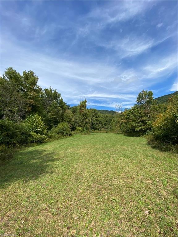 0 Lumber Plant Road Lowgap, NC 27024 - Photo 12 of 27 Gallery Image 12