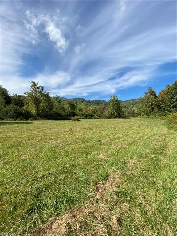 0 Lumber Plant Road Lowgap, NC 27024 - Photo 14 of 27 Gallery Image 14