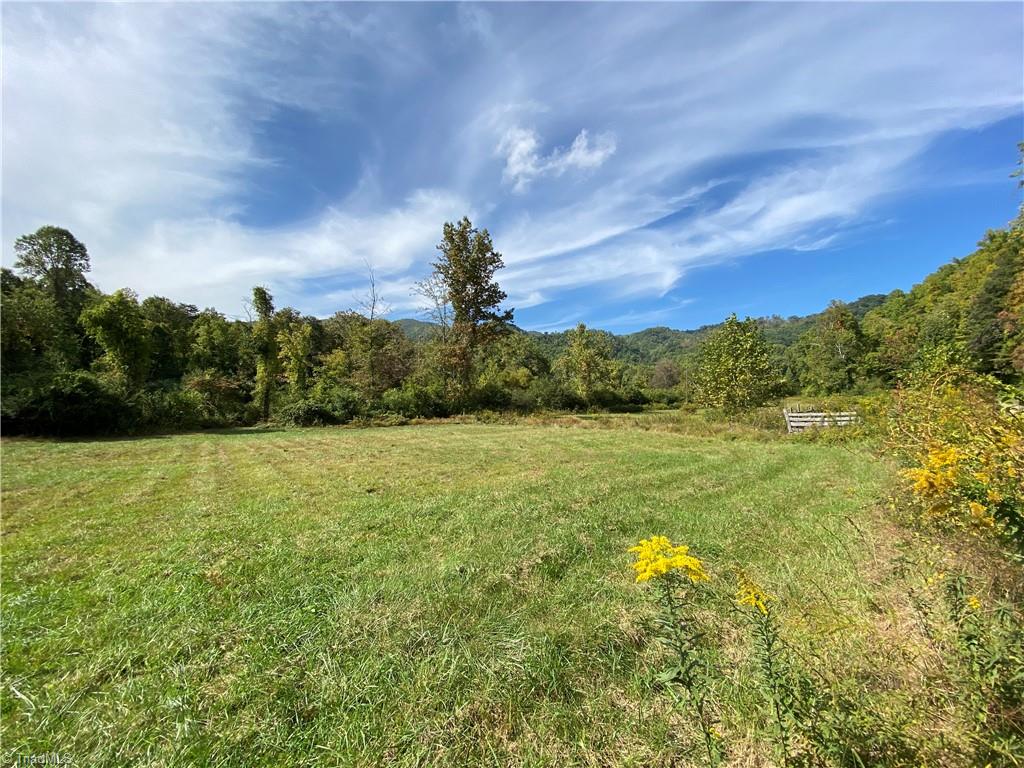 0 Lumber Plant Road Lowgap, NC 27024 - Photo 18 of 27 Gallery Image 18