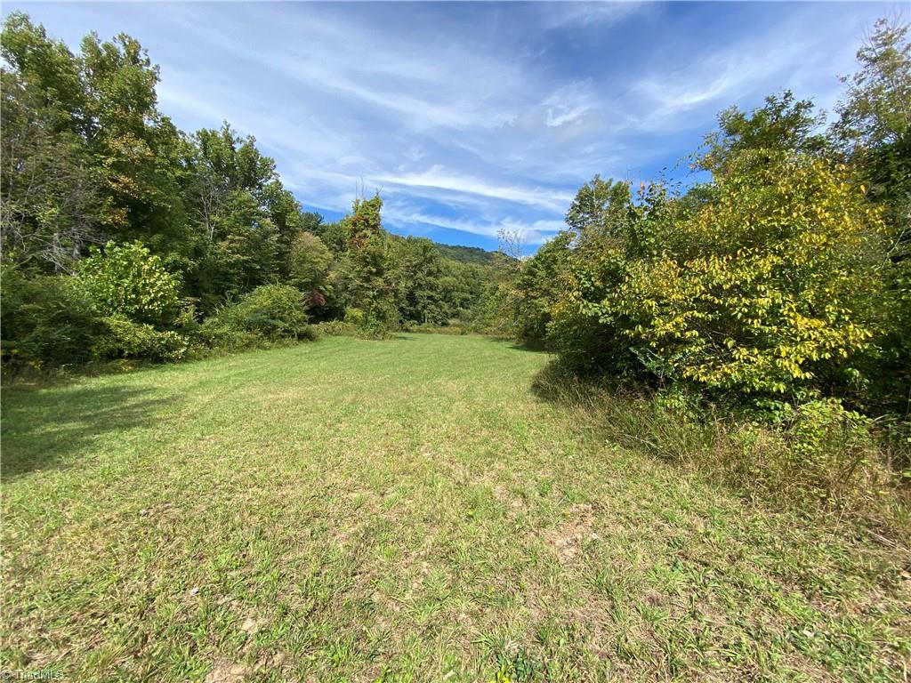 0 Lumber Plant Road Lowgap, NC 27024 - Photo 20 of 27 Gallery Image 20