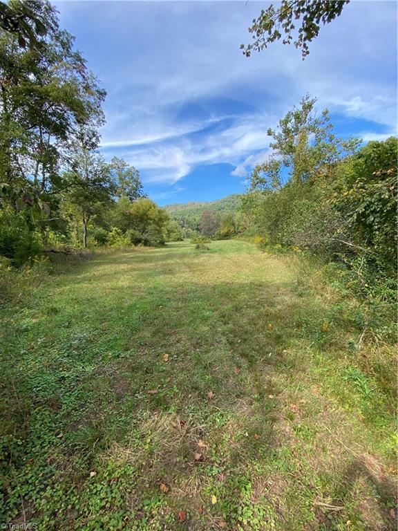0 Lumber Plant Road Lowgap, NC 27024 - Photo 21 of 27 Gallery Image 21