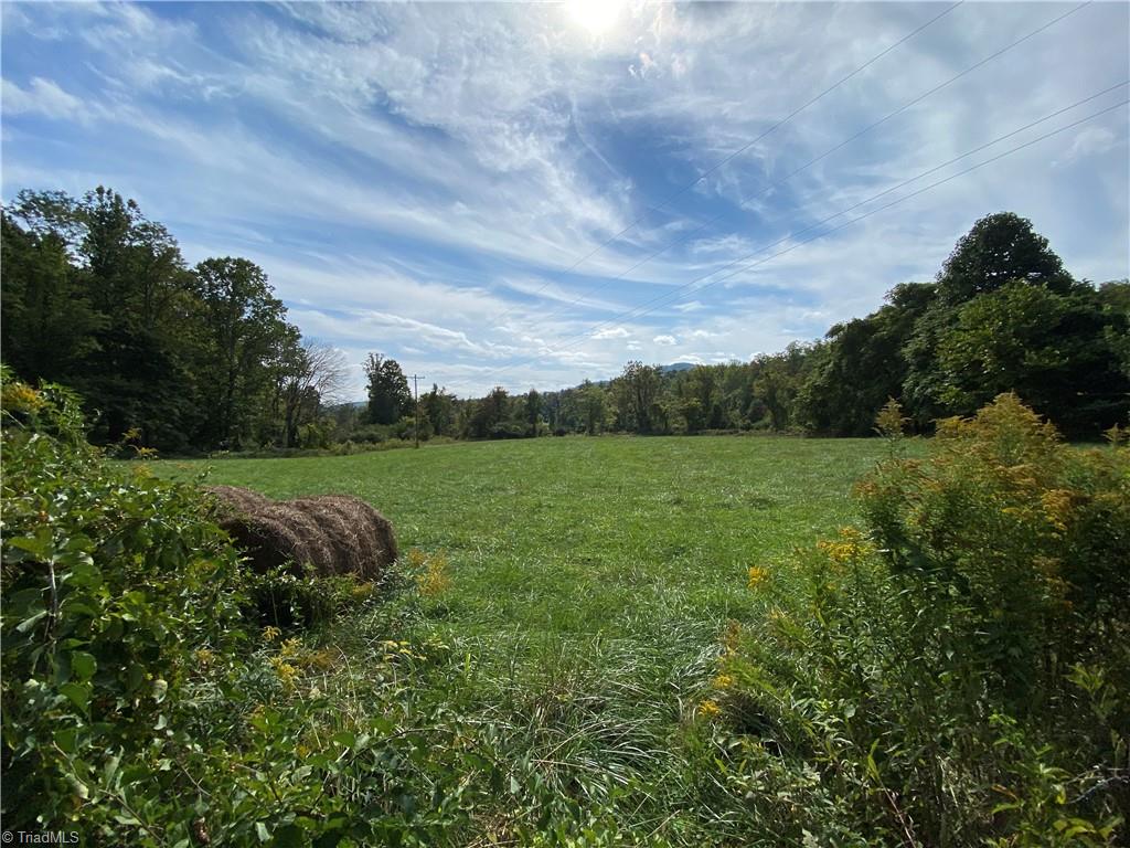 0 Lumber Plant Road Lowgap, NC 27024 - Photo 23 of 27 Gallery Image 23