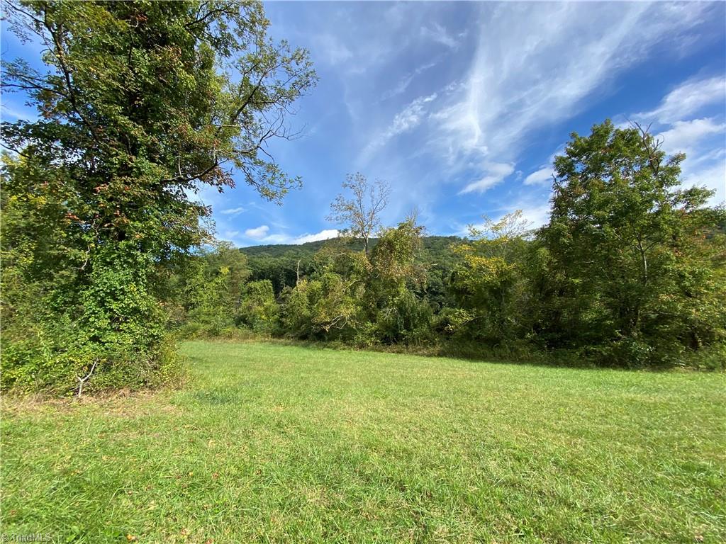 0 Lumber Plant Road Lowgap, NC 27024 - Photo 25 of 27 Gallery Image 25