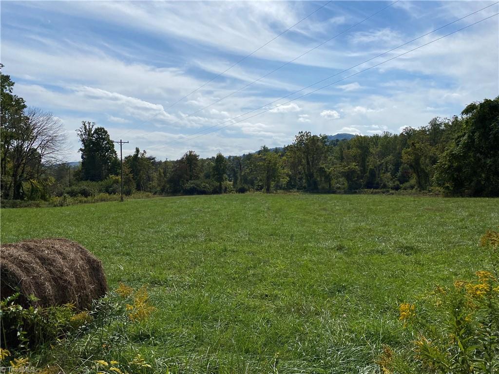 0 Lumber Plant Road Lowgap, NC 27024 - Photo 26 of 27 Gallery Image 26