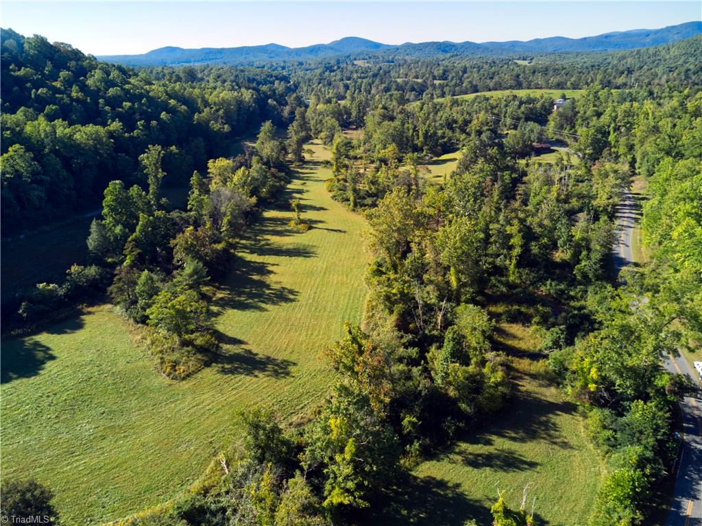0 Lumber Plant Road Lowgap, NC 27024 - Photo 4 of 27 Gallery Image 4