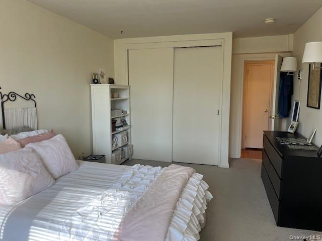 241-20 Northern Boulevard, Unit 3H Queens, NY 11362 - Photo 10 of 16 a bedroom with a bed and a flat screen tv