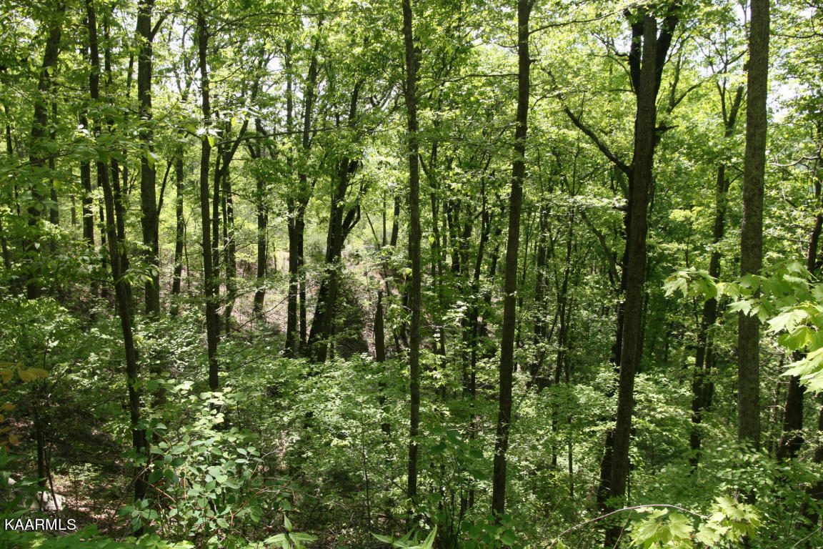 Jericho Road Maryville, TN 37803 - Photo 1 of 1 20150218160238694644000000-o