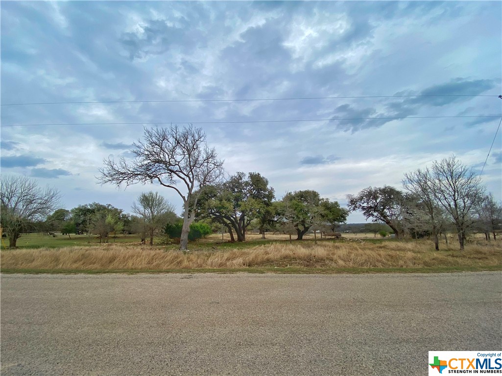 109 Rio Grande Drive Blanco, TX 78606 - Photo 9 of 20