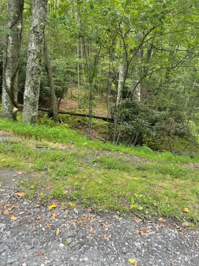 Tbd Lot 23 Country Ridge Road Jefferson, NC 28640 - Photo 2 of 5 Gallery Image 2
