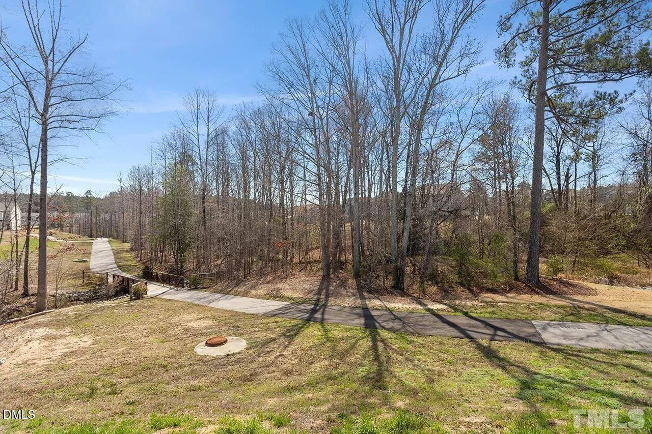 1195 Chestnut Bluff Run Apex, NC 27502 - Photo 20 of 26 large (20)