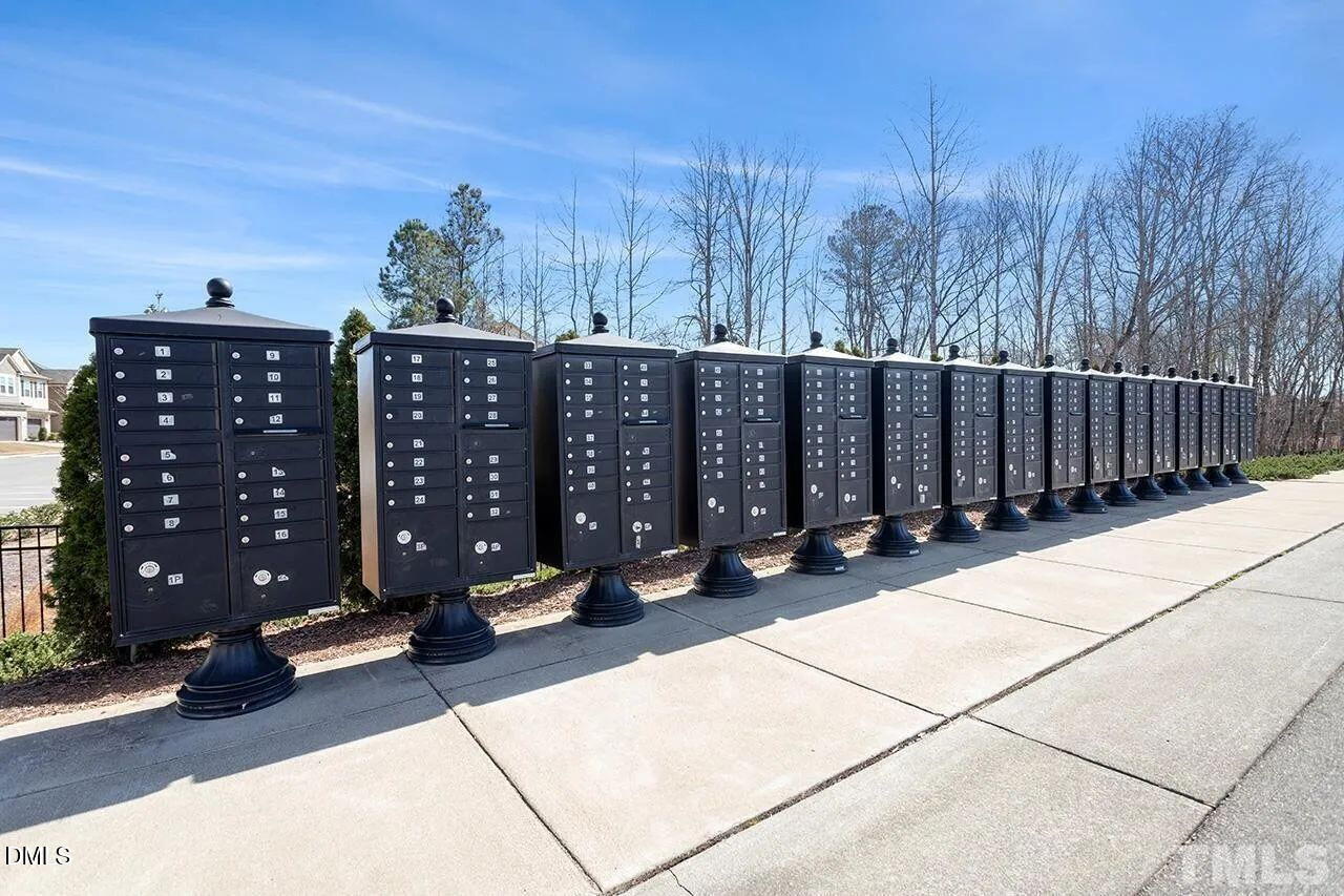 1195 Chestnut Bluff Run Apex, NC 27502 - Photo 26 of 26 large (26)