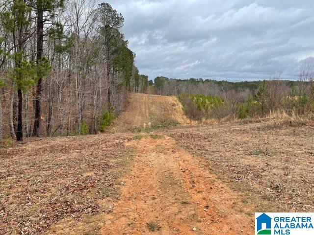 59 County Road, Unit 30 Heflin, AL 36264 - Photo 21 of 24
