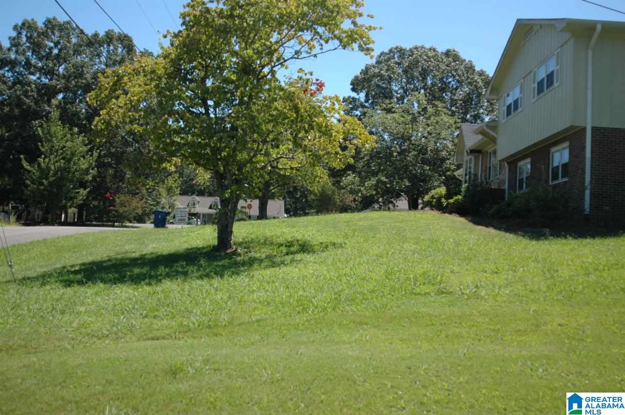 215 Meadow Lane Oneonta, AL 35121 - Photo 12 of 14