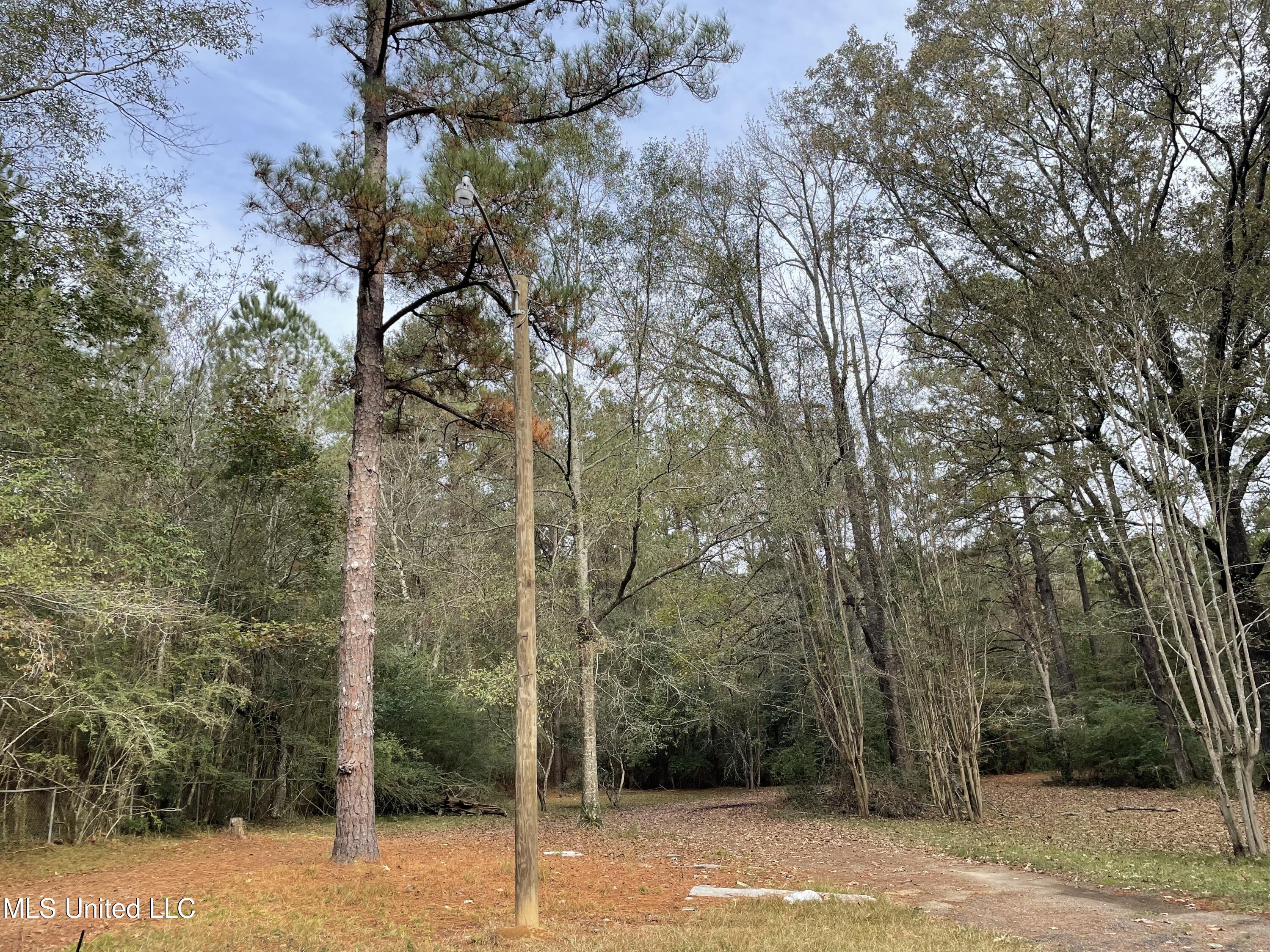 3677 Forest Hill Road Jackson, MS 39212 - Photo 23 of 25 IMG-1500