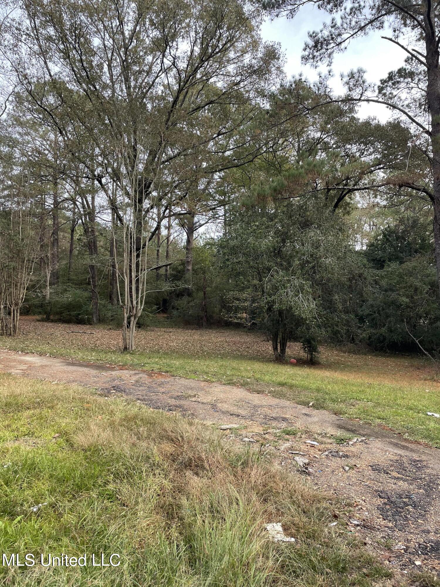 3677 Forest Hill Road Jackson, MS 39212 - Photo 24 of 25 IMG-1499