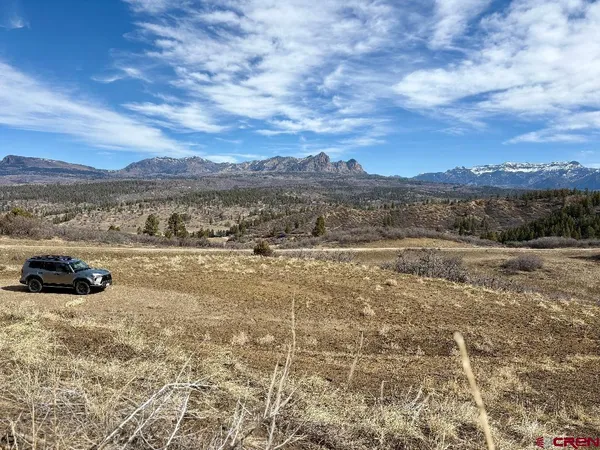 a view of a dry yard with trees