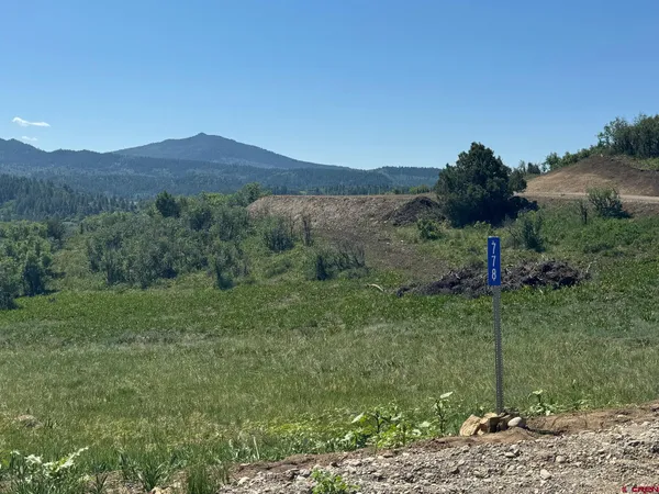 a view of a lush green field